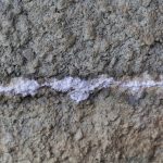 ws-01-01